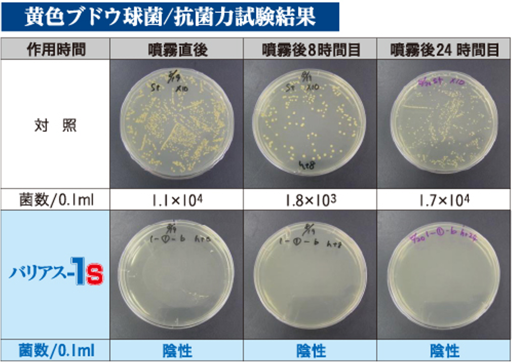 防カビ効果分析結果